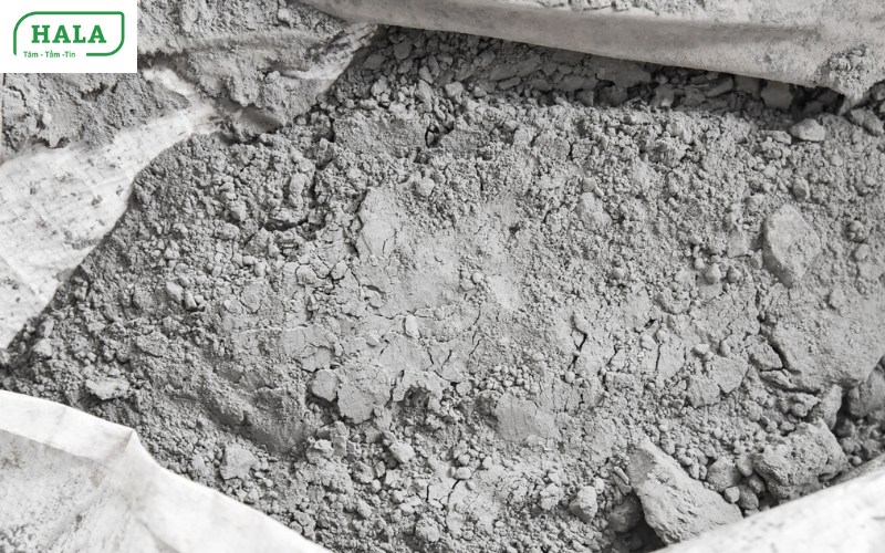 Báo giá thép xây dựng, xi măng 2024 cam kết rẻ nhất thị trường