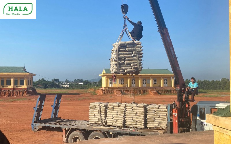 Báo giá thép xây dựng, xi măng 2024 cam kết rẻ nhất thị trường