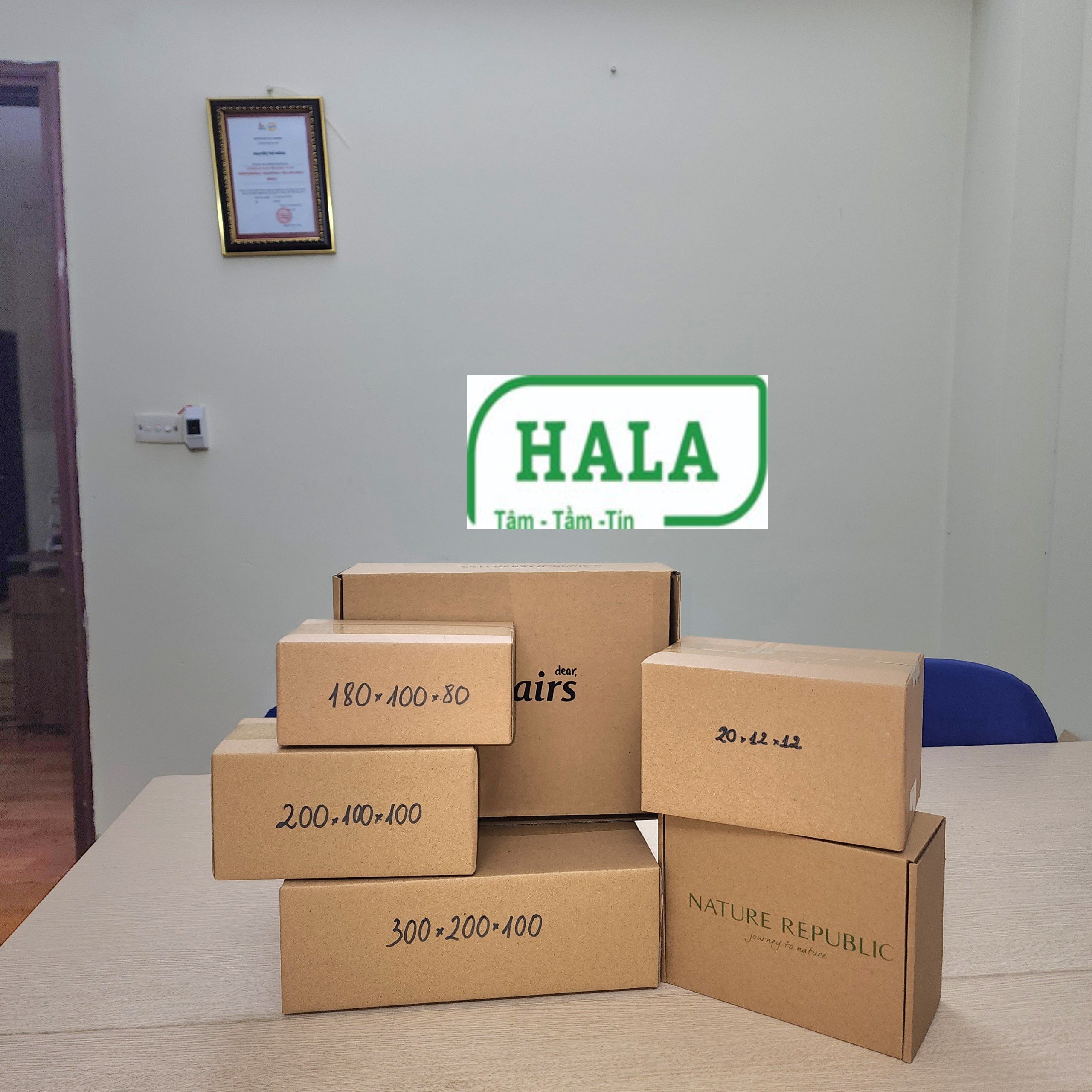 Read more about the article 5 loại thùng carton phổ biến nhất trên thị trường bao bì hiện nay