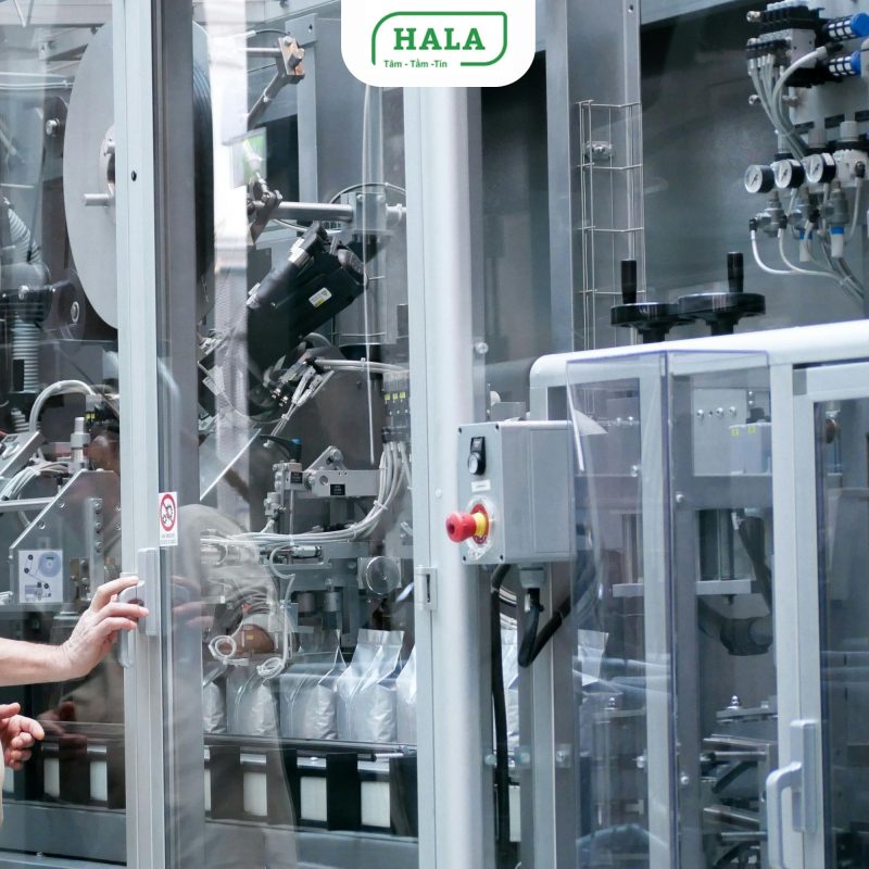 HALA Việt Nam chuyên thi công đường dây điện trung thế, hạ thế, điện công nghiệp cho nhà máy, khu công nghiệp và công trình hạ tầng trên toàn quốc. Đảm bảo an toàn, đúng kỹ thuật, tối ưu vận hành.