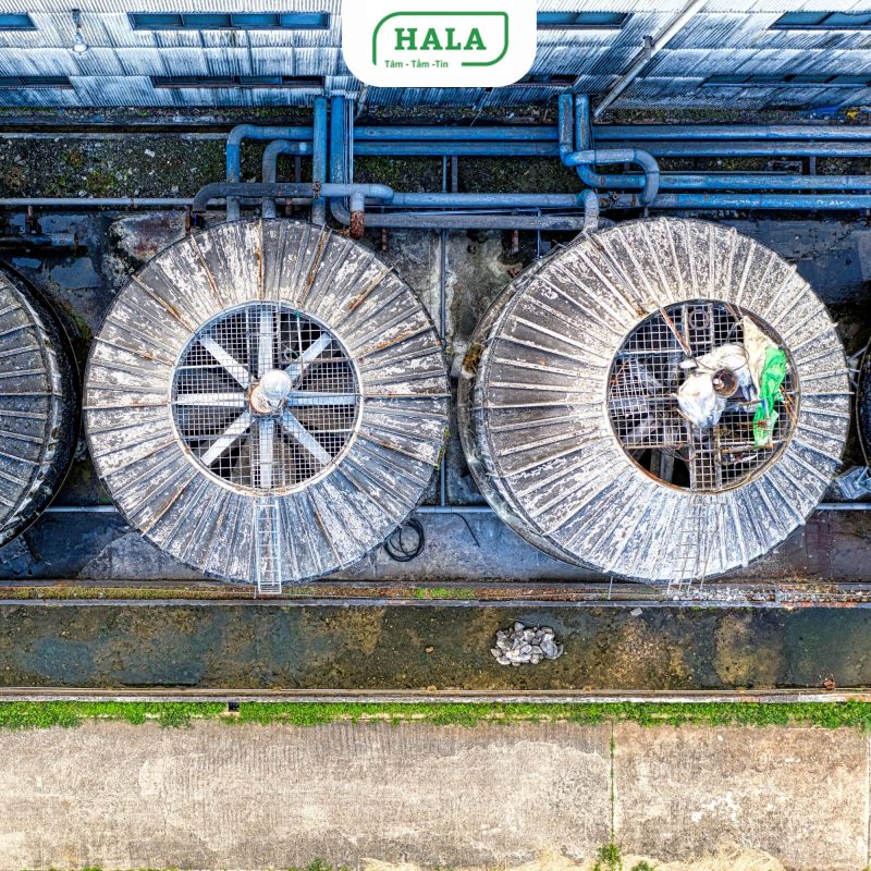 HALA Việt Nam chuyên thi công hệ thống cấp nước sạch cho nhà máy, khu công nghiệp, tòa nhà, khu dân cư và công trình dân dụng trên toàn quốc. Giải pháp kỹ thuật đồng bộ, tối ưu lưu lượng và áp lực nước