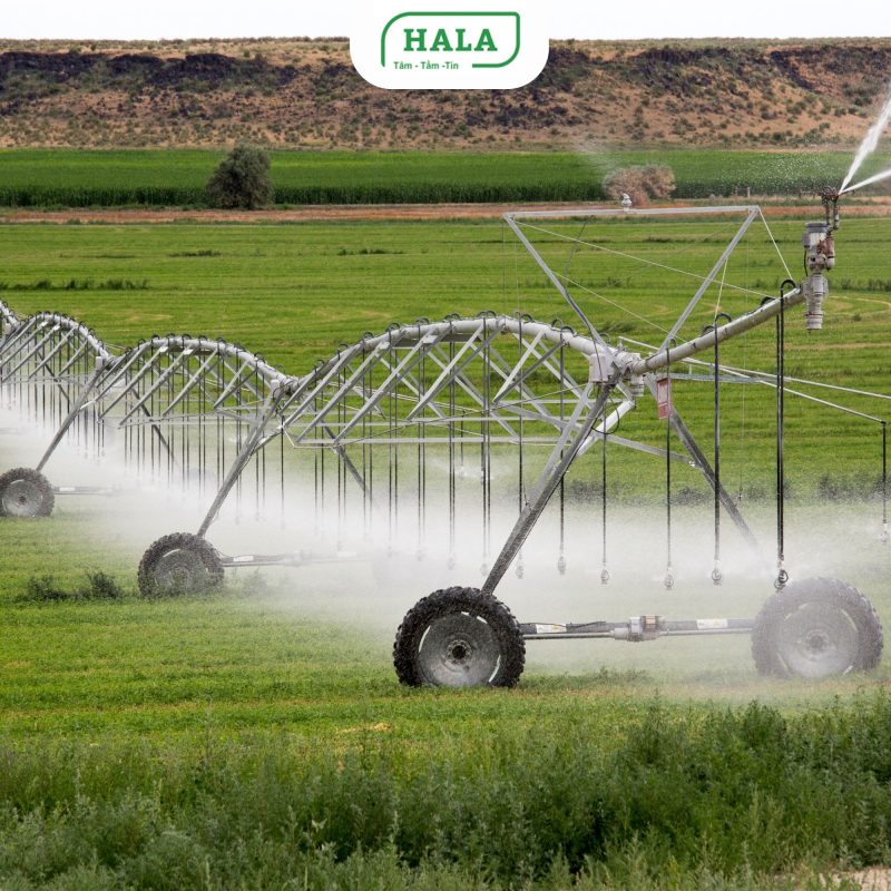 HALA Việt Nam chuyên xây dựng công trình thủy lợi, hệ thống kênh mương, hồ chứa, đê kè, trạm bơm và hạ tầng thủy lợi trên toàn quốc. Thi công đúng kỹ thuật, đảm bảo tiến độ và chất lượng công trình