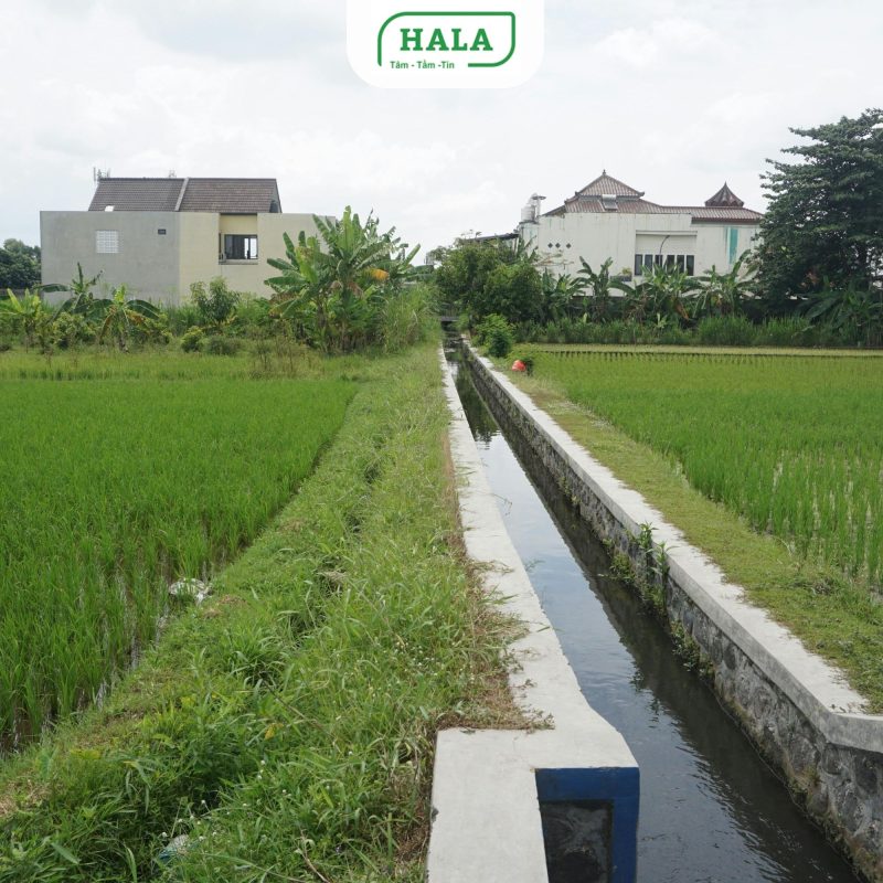 HALA Việt Nam chuyên xây dựng công trình thủy lợi, hệ thống kênh mương, hồ chứa, đê kè, trạm bơm và hạ tầng thủy lợi trên toàn quốc. Thi công đúng kỹ thuật, đảm bảo tiến độ và chất lượng công trình.