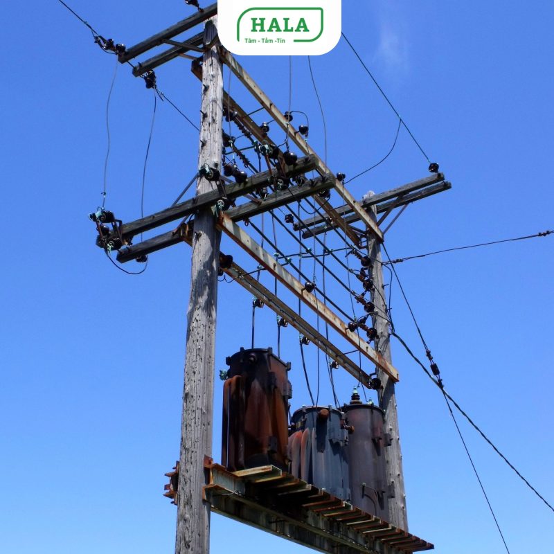 HALA Việt Nam chuyên thi công đường dây điện và trạm biến áp 35kV cho nhà máy, khu công nghiệp, dự án hạ tầng trên toàn quốc. Giải pháp kỹ thuật an toàn, đúng tiêu chuẩn, tối ưu vận hành.