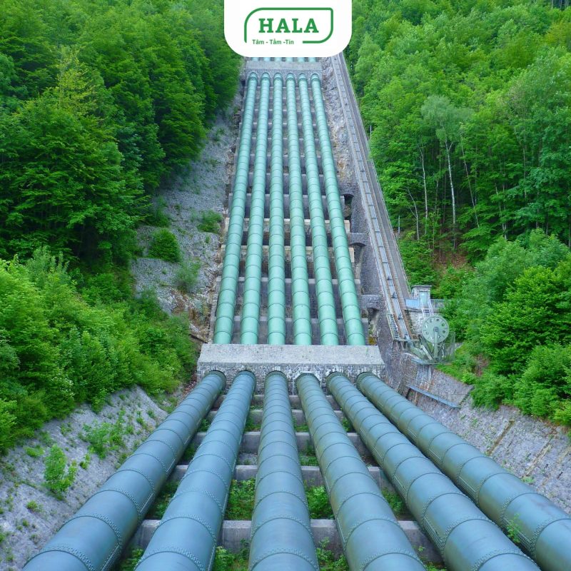 HALA Việt Nam chuyên thi công hệ thống xử lý nước thải cho nhà máy, khu công nghiệp, tòa nhà, khu dân cư trên toàn quốc. Giải pháp xử lý đạt chuẩn môi trường, tối ưu chi phí vận hành