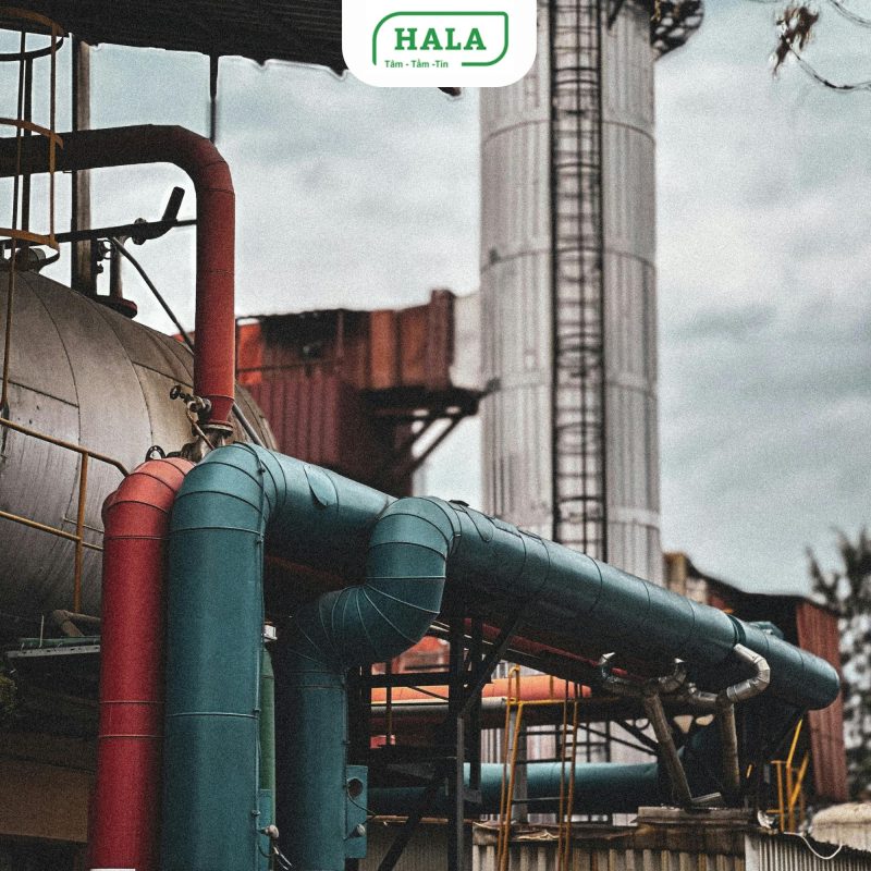 HALA Việt Nam chuyên thi công hệ thống cấp nước sạch cho nhà máy, khu công nghiệp, tòa nhà, khu dân cư và công trình dân dụng trên toàn quốc. Giải pháp kỹ thuật đồng bộ, tối ưu lưu lượng và áp lực nước