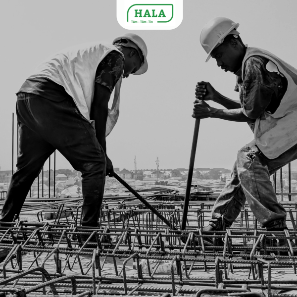 Gia Công Thép Theo Yêu Cầu Giá Tốt | HaLa Việt Nam