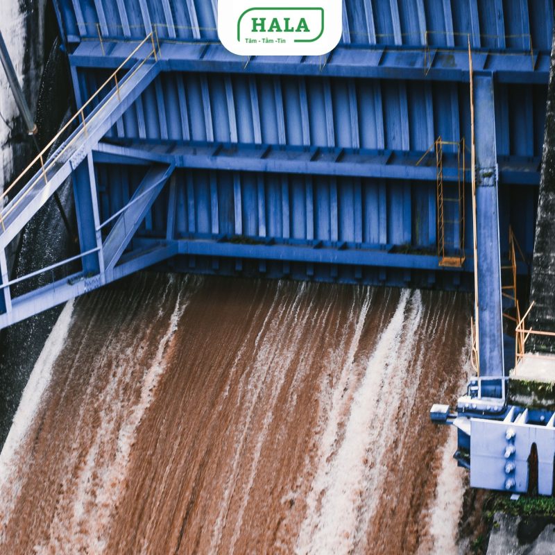 HALA Việt Nam chuyên thi công hệ thống thoát nước mưa cho nhà máy, khu công nghiệp, khu dân cư, đô thị và công trình dân dụng trên toàn quốc. Giải pháp chống ngập hiệu quả, đúng kỹ thuật, bền vững lâu dài